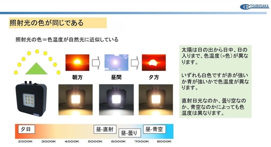 擬似太陽光照明 - ワイコフ科学株式会社